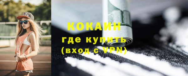 мяу мяу мука Гусев