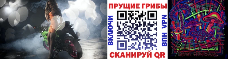 Купить где  Красный Холм  Псилоцибиновые грибы Psilocybe 